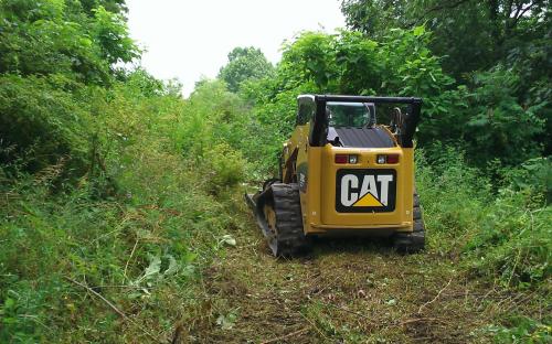 Clearing brush for the construction of an access road.